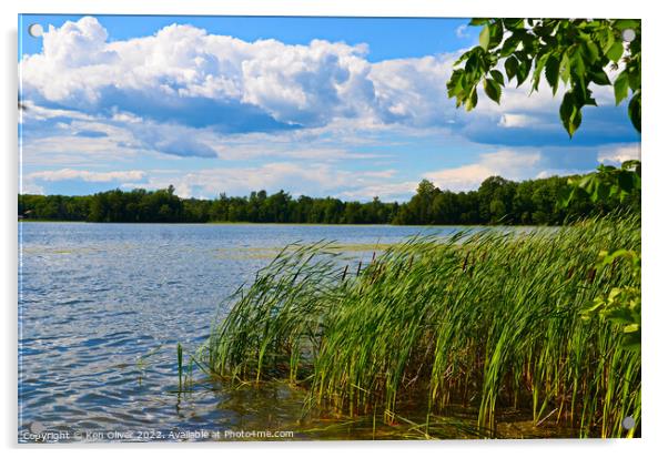 Serene Waterscape Acrylic by Ken Oliver