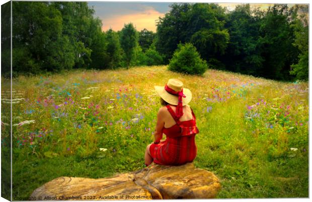 Summer Days in Huddersfield Wildflower Meadow Canvas Print by Alison Chambers
