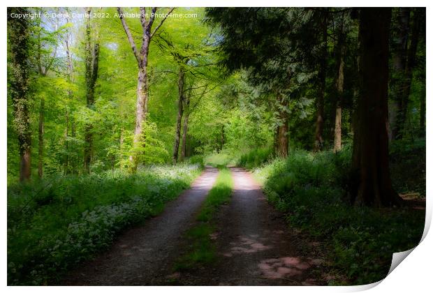 A Walk Through A Mystical Woods Print by Derek Daniel