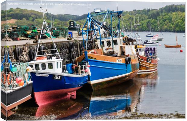 Fishing Boats in Tobermory Harbour Isle of Mull Canvas Print by Pearl Bucknall