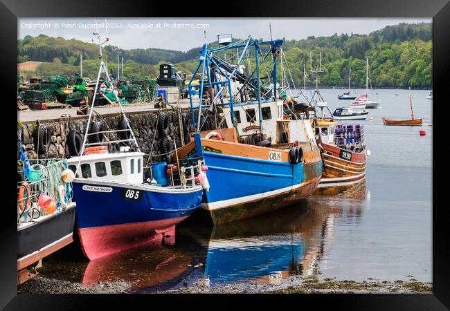 Fishing Boats in Tobermory Harbour Isle of Mull Framed Print by Pearl Bucknall
