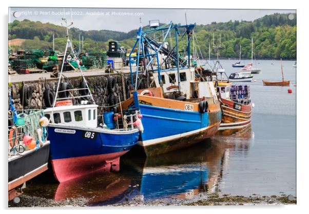 Fishing Boats in Tobermory Harbour Isle of Mull Acrylic by Pearl Bucknall