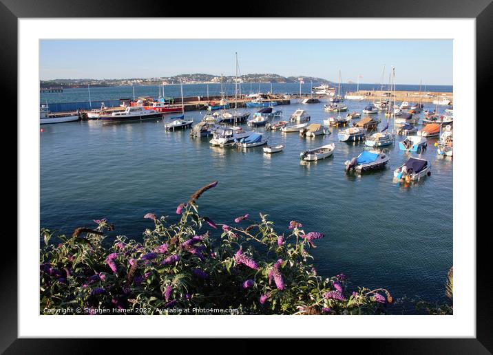 Golden Hour Glow at Paignton Harbour Framed Mounted Print by Stephen Hamer