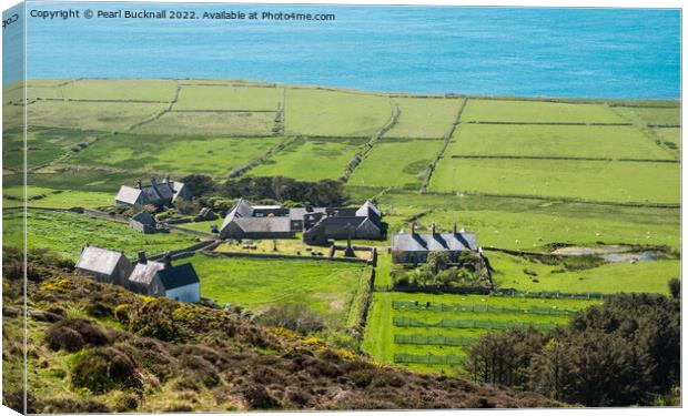 Ynys Enlli or Bardsey Island Landscape Wales Canvas Print by Pearl Bucknall