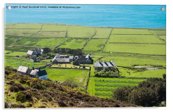 Ynys Enlli or Bardsey Island Landscape Wales Acrylic by Pearl Bucknall