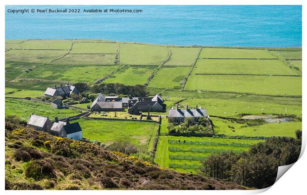 Ynys Enlli or Bardsey Island Landscape Wales Print by Pearl Bucknall