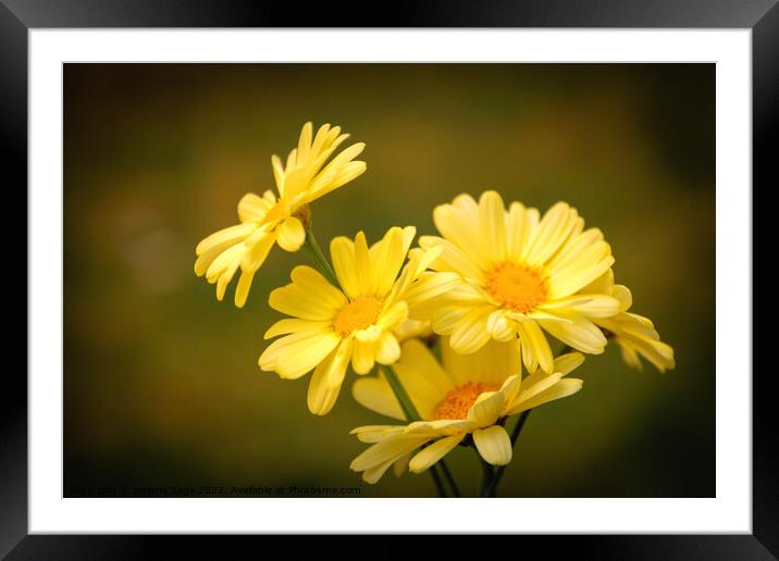 Yellow Framed Mounted Print by Jeremy Sage