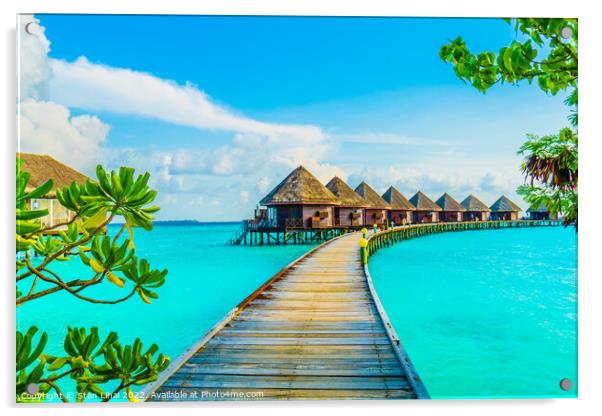 Maldives island Acrylic by Stan Lihai