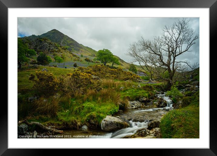 Bluebells and Squat Beck below Whiteless pike at Rannerdale  Framed Mounted Print by Michaela Strickland