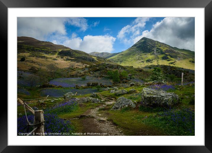 Bluebells at Rannerdale, Lake District, Cumbria, uk Framed Mounted Print by Michaela Strickland
