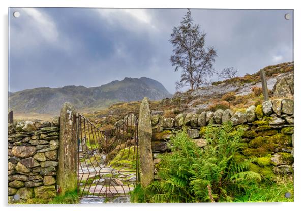 Snowdonia National Park Acrylic by chris smith