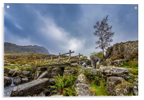 Snowdonia National Park Acrylic by chris smith