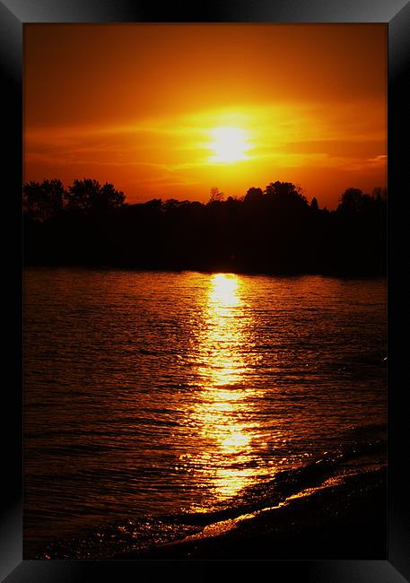 Evening Sun Framed Print by kurt bolton