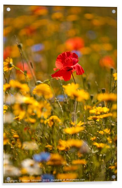 sunlit Poppy in meadow flowers Acrylic by Simon Johnson