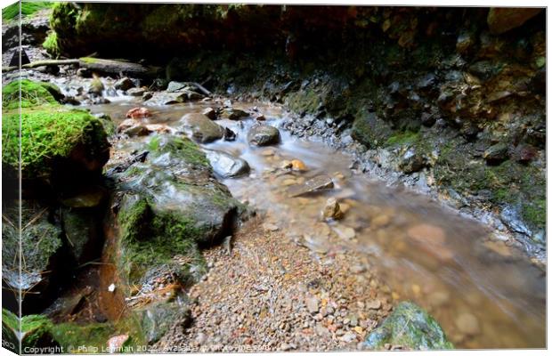 Moving Waters (3A) Canvas Print by Philip Lehman