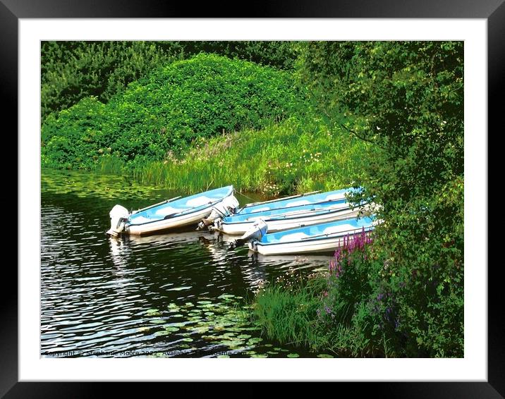 Blue row boats Framed Mounted Print by Stephanie Moore