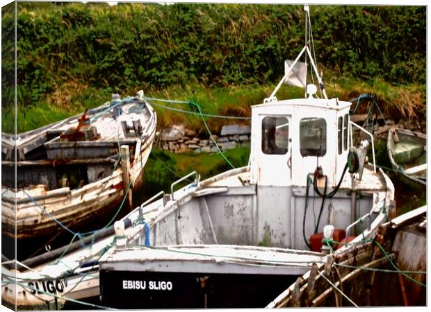 Abandoned fishing boats Canvas Print by Stephanie Moore