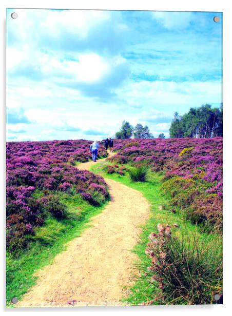 Flowering heather in Derbyshire. (portrait) Acrylic by john hill