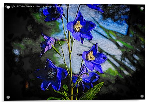 Blue Delphinium  Acrylic by Taina Sohlman