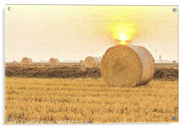 PENCIL SKETCH EFFECT on close-up of a hay cylindrical bale in a farmland Acrylic by daniele mattioda