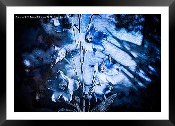 Delphinium Blue Monochrome Framed Mounted Print by Taina Sohlman