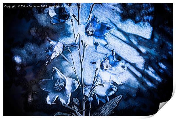 Delphinium Blue Monochrome Print by Taina Sohlman