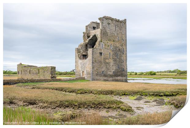 The remains of Carrigafoyle Castle,  Ballylongford Print by Dave Collins