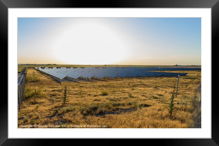 A semi-desert field with solar panels to generate electricity at Framed Mounted Print by Joaquin Corbalan