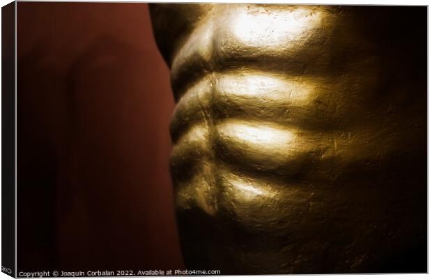Abdominal muscles, part of the muscular core of the human body. Canvas Print by Joaquin Corbalan