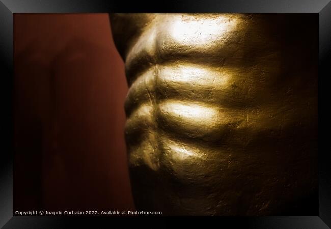 Abdominal muscles, part of the muscular core of the human body. Framed Print by Joaquin Corbalan