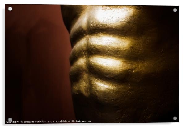 Abdominal muscles, part of the muscular core of the human body. Acrylic by Joaquin Corbalan