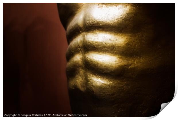 Abdominal muscles, part of the muscular core of the human body. Print by Joaquin Corbalan