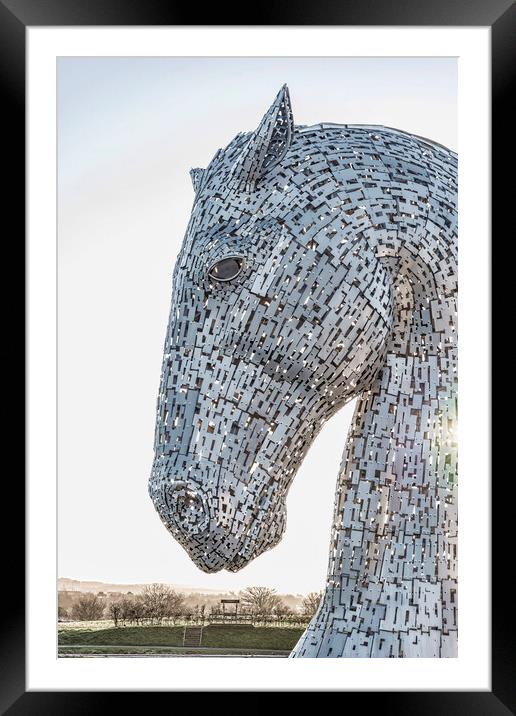 Kelpies Head Framed Mounted Print by Valerie Paterson