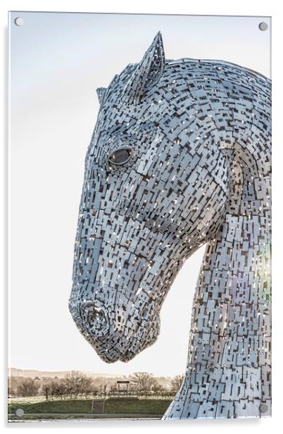 Kelpies Head Acrylic by Valerie Paterson