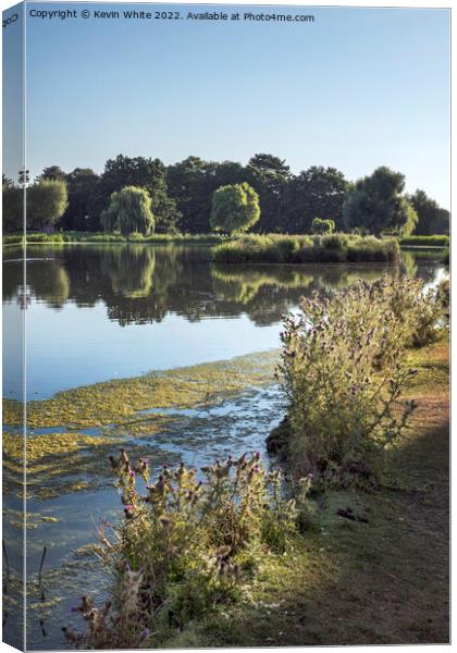 Heat of summer in Bushy Park Canvas Print by Kevin White