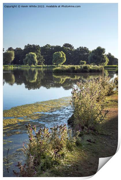 Heat of summer in Bushy Park Print by Kevin White