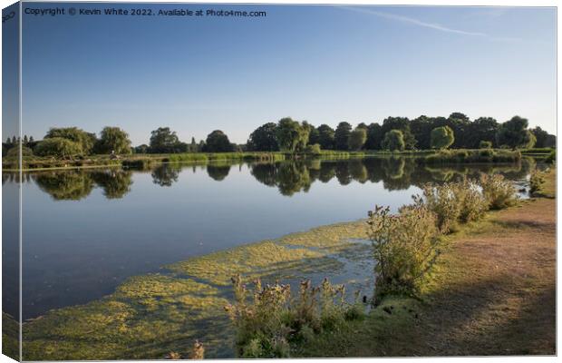 Hot Summers day in  Bushy Park Canvas Print by Kevin White