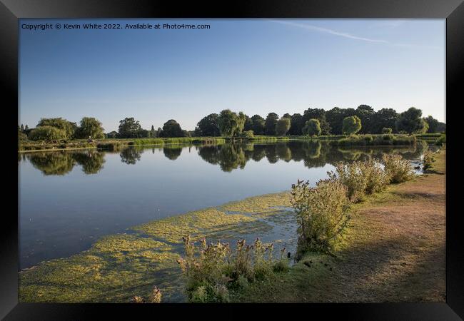 Hot Summers day in  Bushy Park Framed Print by Kevin White
