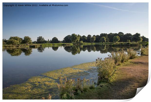 Hot Summers day in  Bushy Park Print by Kevin White