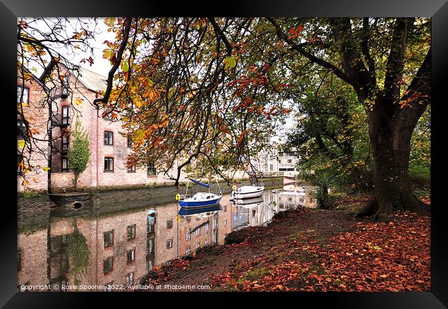 Autumn at Totnes Framed Print by Rosie Spooner