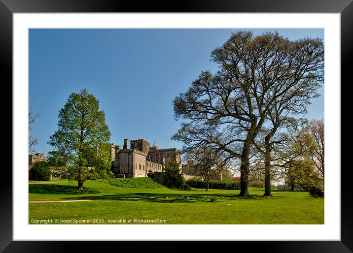 Powderham Castle in South Devon Framed Mounted Print by Rosie Spooner