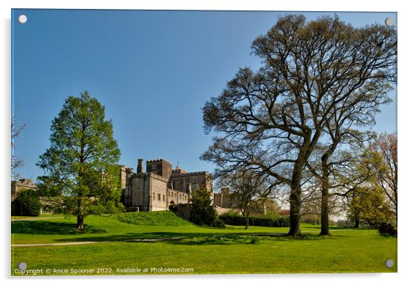 Powderham Castle in South Devon Acrylic by Rosie Spooner