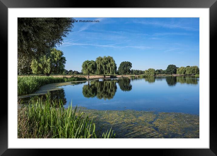 Heron Pond on a hot day Framed Mounted Print by Kevin White