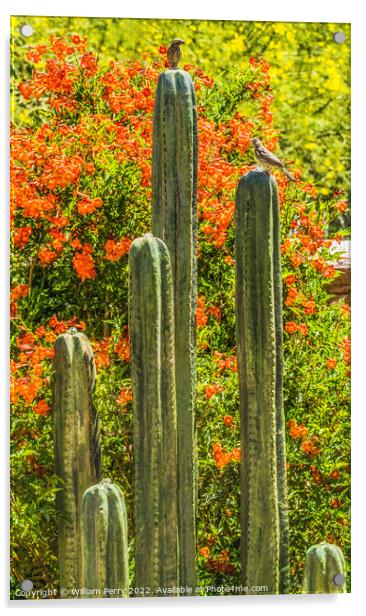 Green Cactus Fountain Flowers Botanical Garden Tucson Arizona Acrylic by William Perry