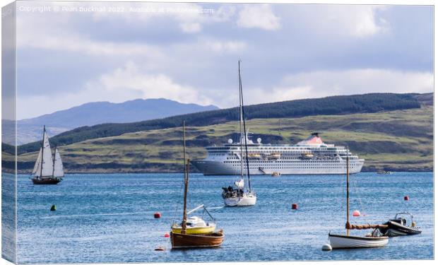Cruise Ship Tobermory Mull Scotland Canvas Print by Pearl Bucknall