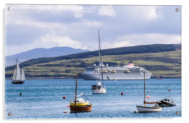 Cruise Ship Tobermory Mull Scotland Acrylic by Pearl Bucknall
