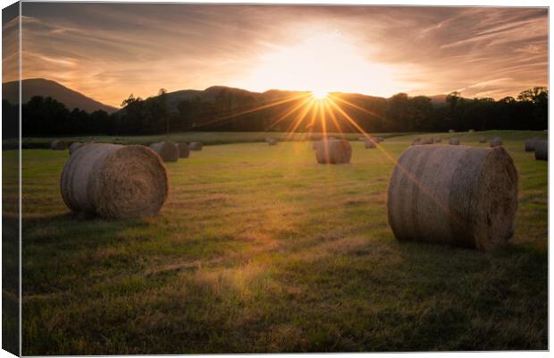 Make hay while the sunshine's Canvas Print by christian maltby