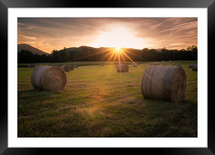 Make hay while the sunshine's Framed Mounted Print by christian maltby