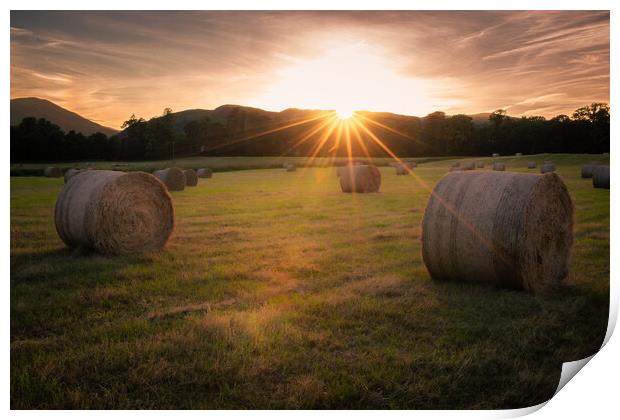 Make hay while the sunshine's Print by christian maltby