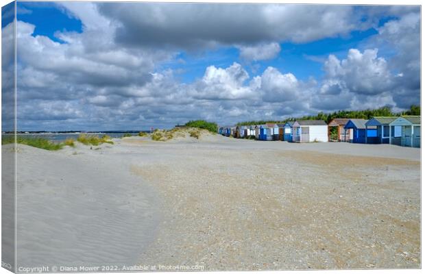 West Wittering beach  Canvas Print by Diana Mower